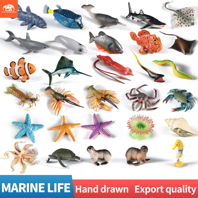 Kids First Education - 海洋生物動物アクションフィギュアセット - イルカ、サメ、ヒトデ、アザラシ、ロブスター、海洋水生動物水族館教育玩具（子供向け）