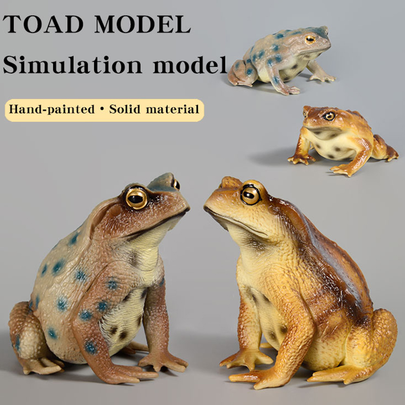 両生類カエルフィギュア昆虫モデルシミュレーションヒキガエルア - Kids First Education のレビューと価格