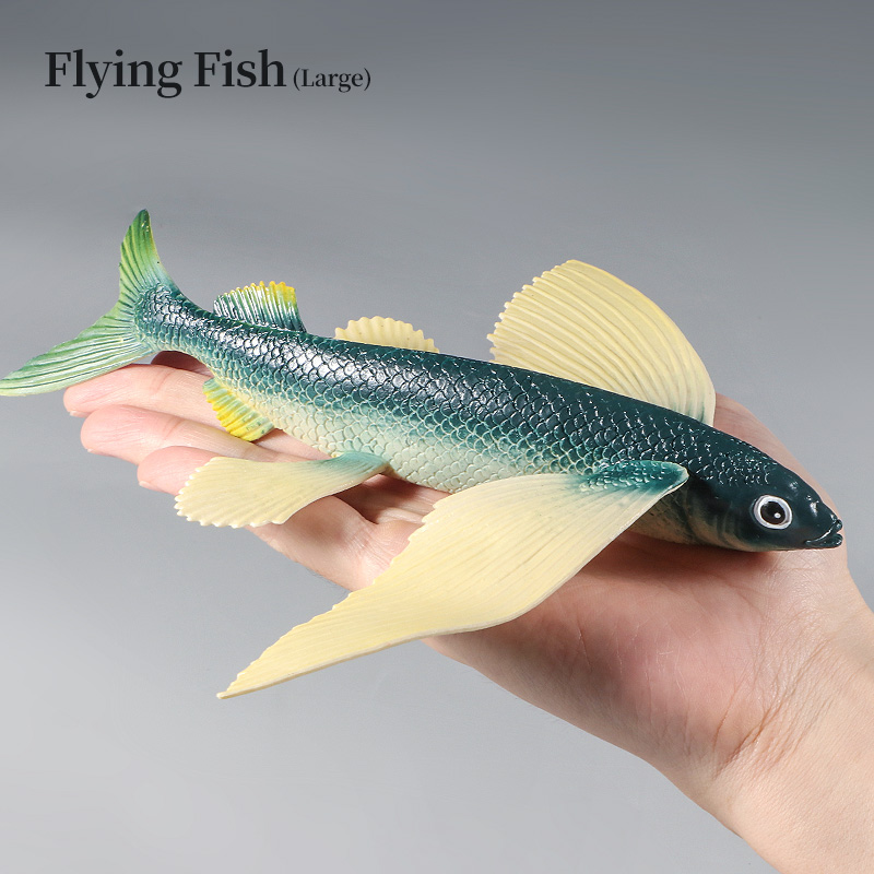 海洋動物水中世界トビウオセットアクションフィギュア海洋生物モ - Kids First Education のレビューと価格