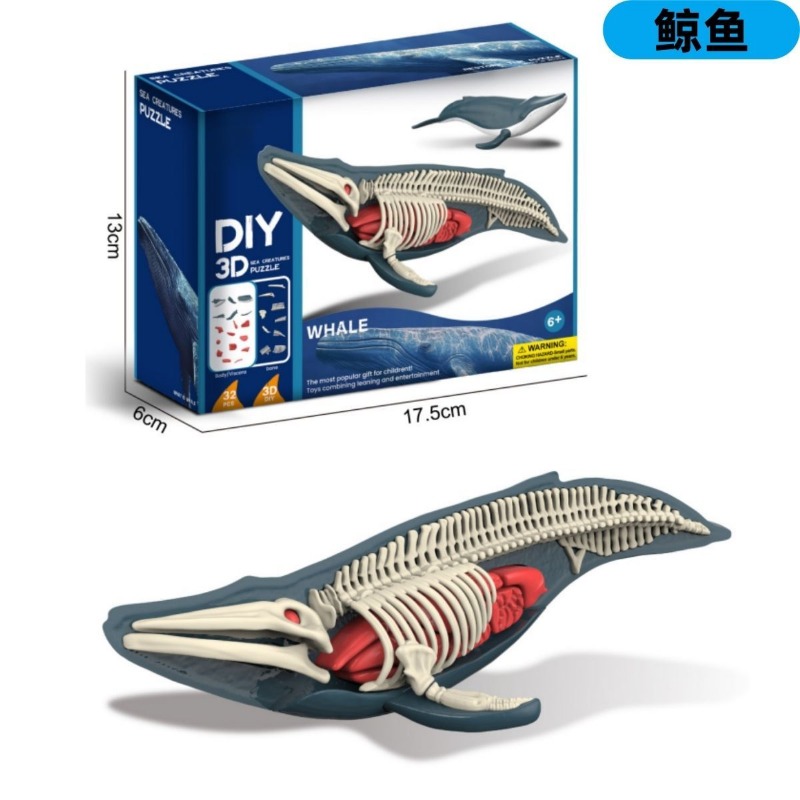 ピラミッドキッズトイ恐竜火山DIY化石考古学発掘キット骨格発 - Science Kit Volcano のレビューと価格