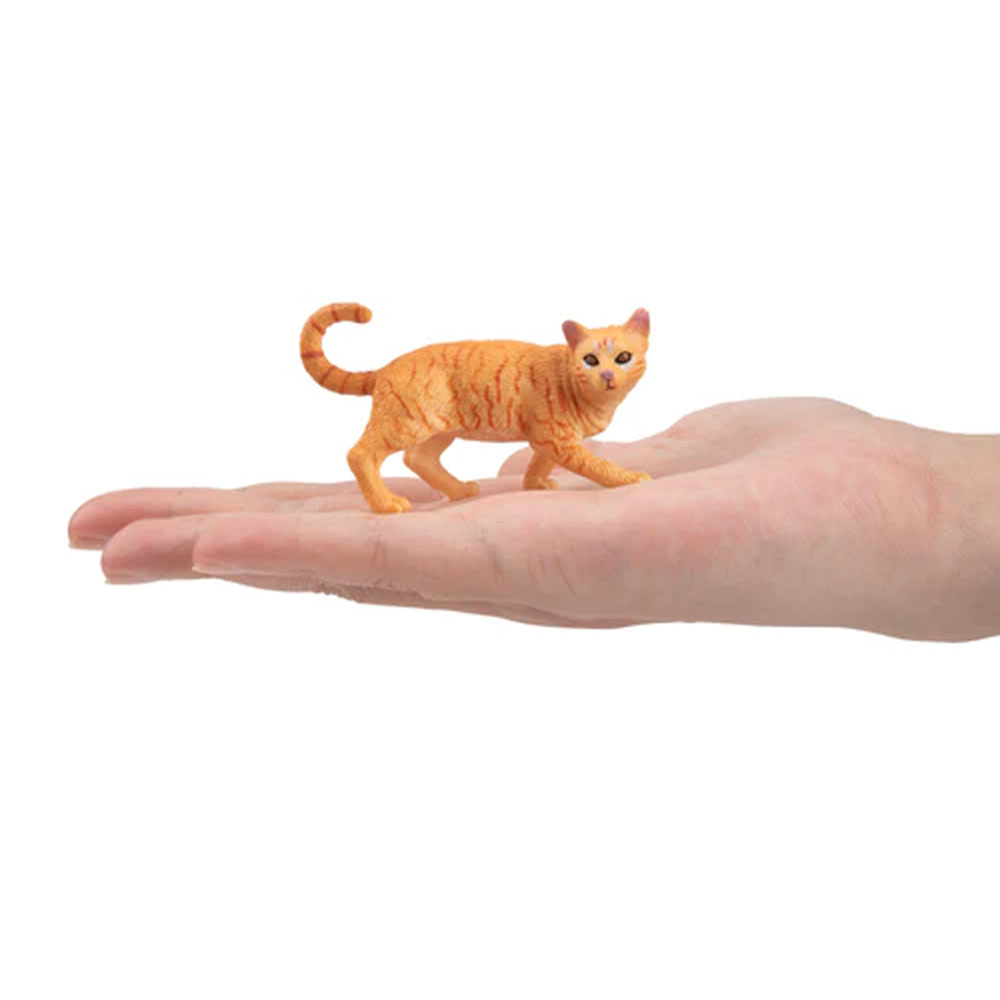 Toymany シミュレーション ストライディング オレンジ - Kids First Education のレビューと価格